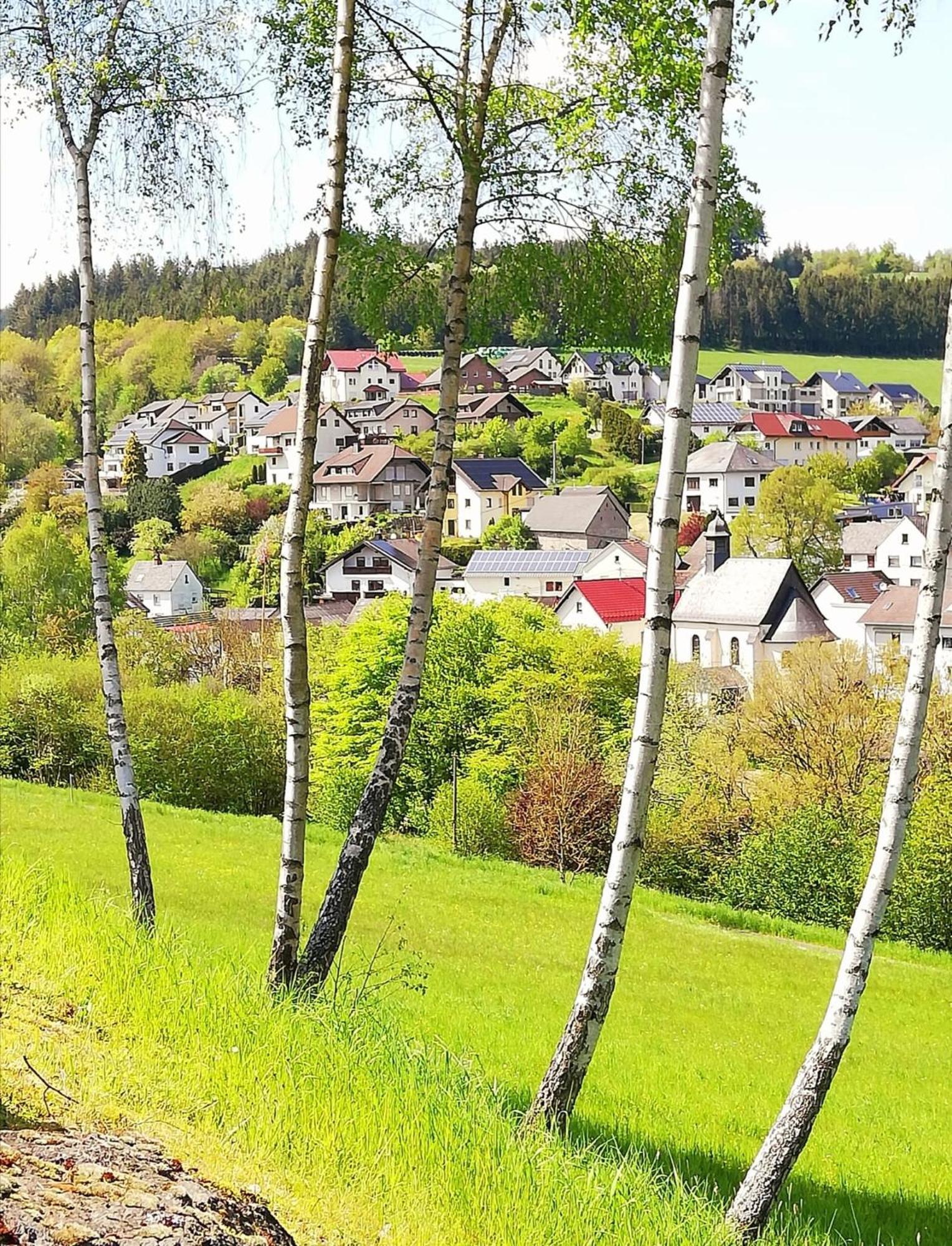Am Lindenbaum, Ferienwohnung In Siebenbach Am Nuerburgring Exterior foto